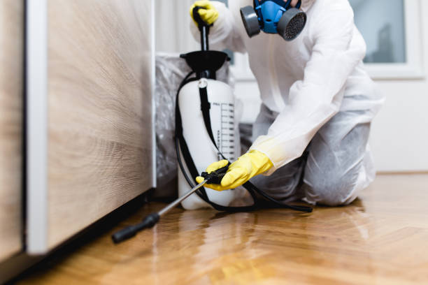 Best Residential Pest Control  in Memphis, MO