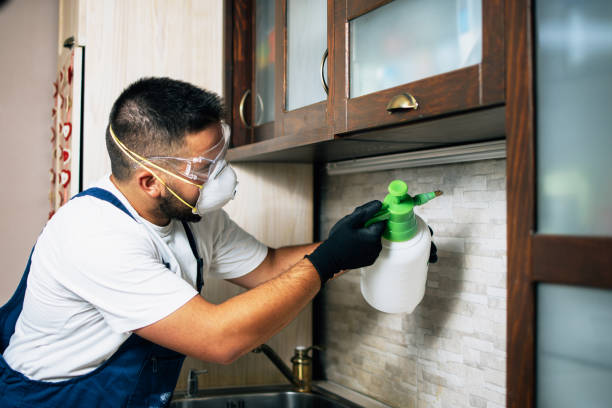Best Best Pest Control Companies  in Memphis, MO