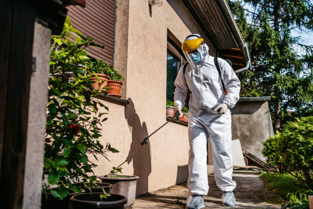 Best Pest Inspection Near Me  in Memphis, MO
