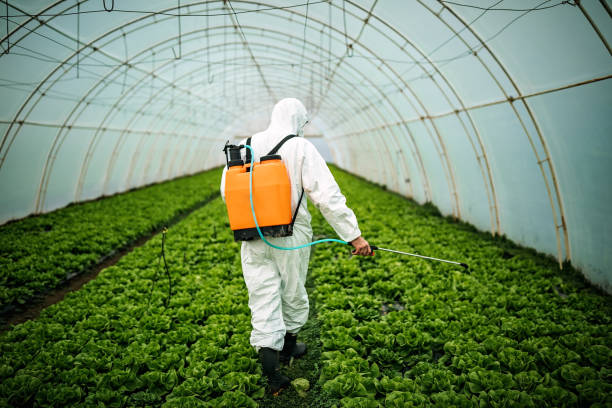Best Mosquito Control Services  in Memphis, MO
