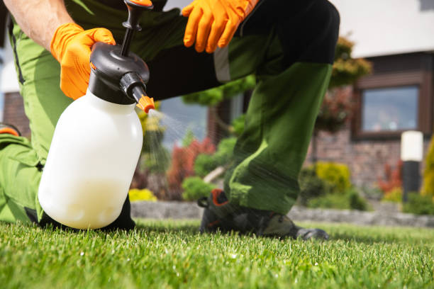 Best Pest Removal Services  in Memphis, MO