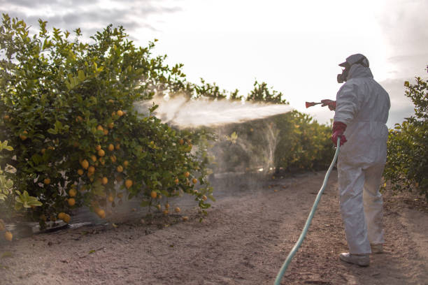 Best Commercial Pest Control Services  in Memphis, MO